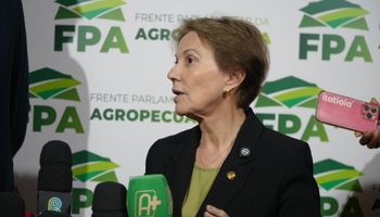 Senado pode votar novo marco legal do Seguro Rural após o recesso