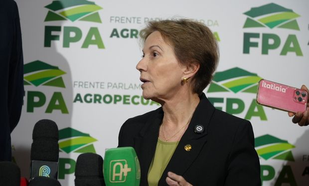 Senadora Tereza Cristina durante evento sobre o novo marco legal do Seguro Rural em Brasília.