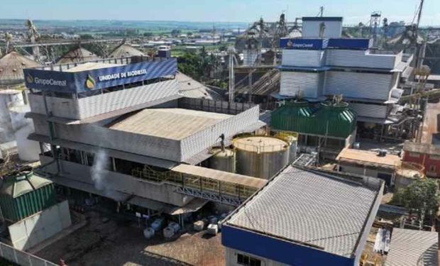 Unidade do Grupo Cereal, empresa de Goiás que recebeu investimento da trading japonesa Zen-Noh.