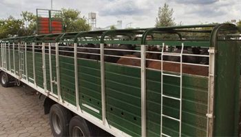 Córdoba: reclaman eliminar el cobro municipal por las guías de traslado de animales