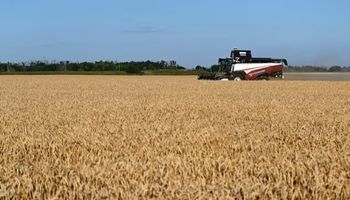 Se espera un "Súper Niño" y así se prepara el agro mundial: ¿Está el mundo más preparado para soportarlo?