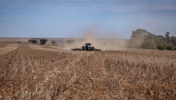 Las empresas del agro pueden perder hasta 40 % de sus clientes en un año: la estrategia que propone la inteligencia artificial