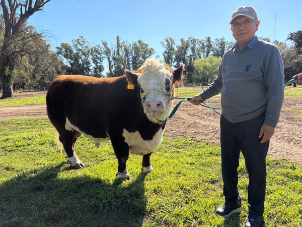 Cómo quiere vender carne argentina a Japón un expresidente de Toyota