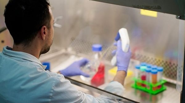 Científico con guantes y bata trabaja con tubos de ensayo y frascos dentro de una cabina de bioseguridad de laboratorio