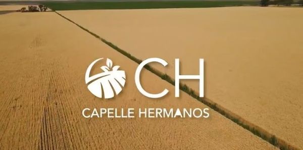 Logo de Capelle Hermanos sobre un campo de trigo dorado cruzado por una línea de cultivo