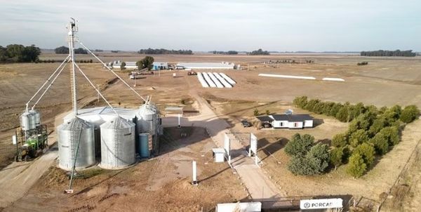Vista aérea de silos metálicos de acopio, galpones y silo bolsas en una explotación agropecuaria