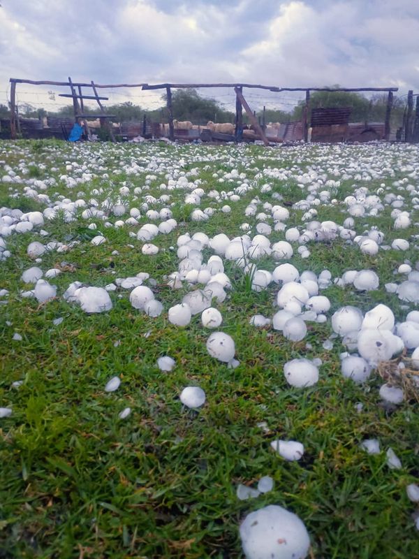 Piso de campo cubierto de granizo, grandes trozos blancos sobre el pasto, con un corral de palos y alambre al fondo.
