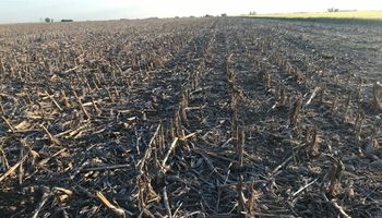 Principio de sequía en el oeste: la falta de lluvias compromete las reservas de humedad y condiciona el arranque de la campaña