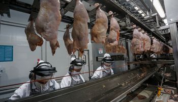 ABPA prevê alta da produção e das exportações de frango e carne suína até 2027