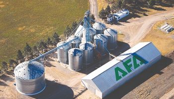 El jugador clave del mercado de granos que ya factura US$ 2.550 millones al año y tiene una lista de 18 proyectos para el campo: solo con la planta de bioetanol y el puerto podrían invertir casi US$ 300 millones