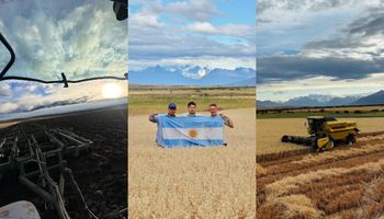 “Una oficina soñada”: tiene 31 años y apuesta a producir granos donde pocos se animaban