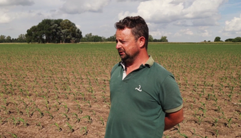 Mientras muchos vuelven a labrar, una empresa con 170 años hace siembra directa desde los 80: "El cultivo que no se adapta, no lo hacemos"