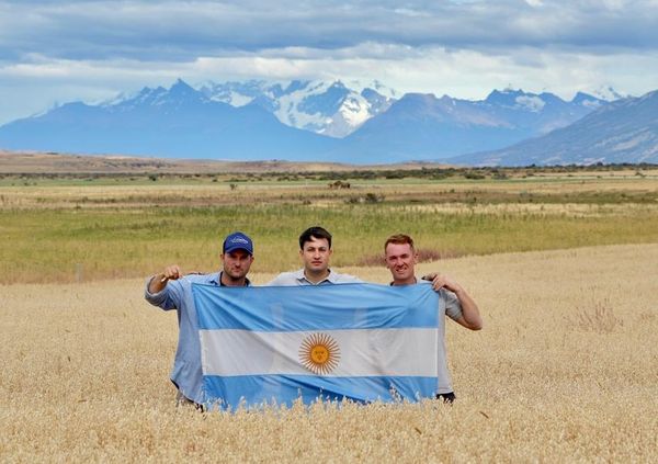 Tres hombres posan con una bandera argentina en un campo de cultivo con cordillera nevada de fondo