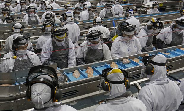 Produção de alimentos sustentou o crescimento da agroindústria brasileira em abril, segundo levantamento do FGVAgro.