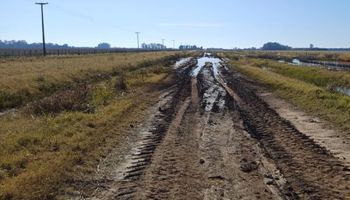 Caminos rurales: una Sociedad Rural exige saber dónde fueron $124,9 millones mensuales y prepara un reclamo judicial