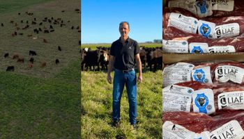 "La demanda nos supera": pasaron de un campo degradado a vender carne a Europa con 3000 hectáreas de agricultura, 800 hectáreas de pastoreo y un feedlot de 4200 cabezas
