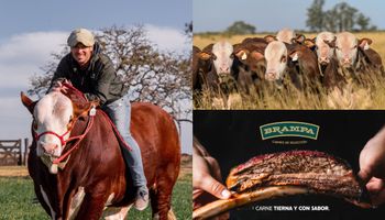 Con 12.000 hectáreas y un feedlot de 10.000 cabezas, el ganadero de tercera generación que lanza marca propia de carne: "Ahora el desafío es buscar calidad y llegar al consumidor"