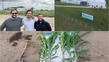 De un café a cubrir 5 millones de hectáreas con productos innovadores para el campo: ahora invierten US$ 7.000.000 para duplicar la producción y crecer en la región