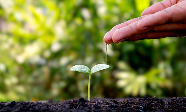Levantamento da CropLife Brasil mostra expansão do setor impulsionada pelos bioinseticidas e aponta avanço do manejo sustentável às vésperas da Safra 2026/27