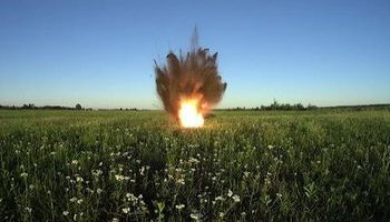 Bomba en el mercado de granos: los precios de soja, trigo, maíz y girasol tocan máximos y gastando entre 3 y 5 dólares por tonelada se puede capturar oportunidades y quedar abierto a más subas