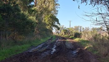 8 de cada 10 caminos rurales están en mal estado y el 68% de los productores sufre pérdidas económicas por esta situación