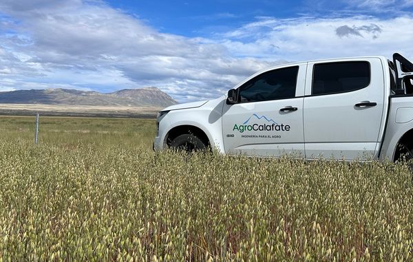 Camioneta blanca con el logo de AgroCalafate en un lote de cultivo de granos, con cerros de fondo