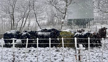 Del calor de 35 °C a nevadas de 2,5 metros: el inusual fenómeno que marcará el clima en la Argentina