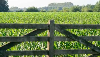 "En pocos años no se venderán más campos": la transformación que anticipan para el negocio agropecuario