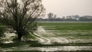 Después del calor llegan las lluvias: qué zonas recibirán acumulados de más de 70 milímetros