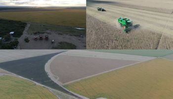 Por qué San Luis se convirtió en uno de los destinos más buscados para invertir en campos productivos