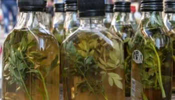Caña con ruda del 1° de agosto: el antiguo remedio que nació para proteger a las comunidades y al ganado durante el invierno