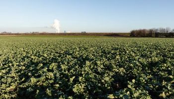 Sigue alta la presión impositiva sobre el campo, sobre todo por las retenciones: cuánto se lleva el Estado del planteo agrícola