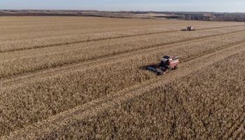 La presión impositiva sobre el campo bajó 3,7 puntos porcentuales y es del 58 %: los motivos detrás de la caída desde junio