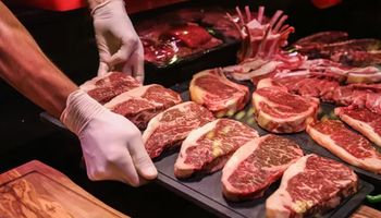 Carne bovina tem melhor semestre da história
