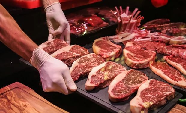 Embarques e faturamento avançam na comparação anual, impulsionados pela demanda de mercados como China, Estados Unidos e Chile