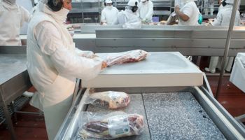 La carne vacuna acelera el ingreso de dólares: se exportó por más de US$ 2288 millones en el semestre