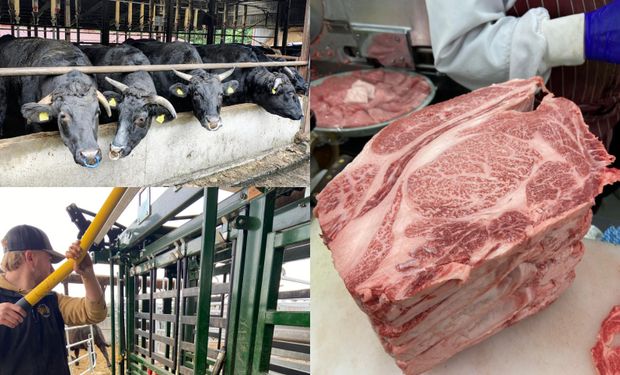 El veterinario Abel Forlino comparte cómo la filosofía Kodawari, basada en la mejora continua y la obsesión por la calidad, puede impulsar una nueva etapa para las carnes premium argentinas en un contexto de creciente demanda internacional