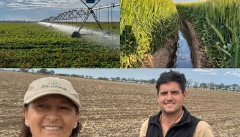 Tienen casi 1000 hectáreas bajo riego y lograron un récord de 91 quintales por hectárea de trigo: cuánto cuesta el milímetro de lluvia