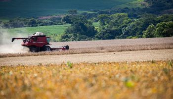 Inadimplência entre produtores rurais chega a 8,8%
