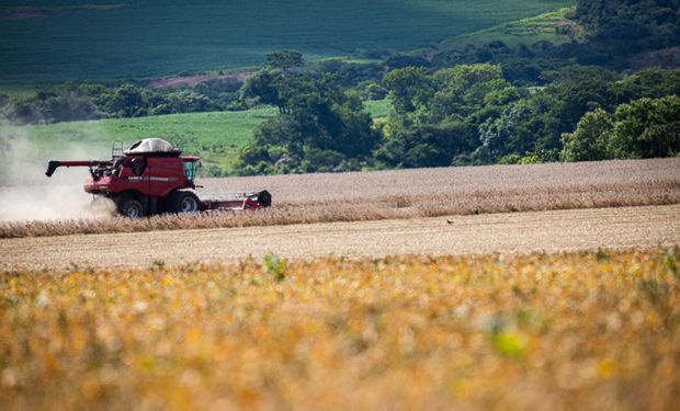 Colheitadeira realiza a colheita de soja em propriedade rural durante a safra no Brasil.