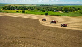 Datagro projeta safra de 185,6 milhões de toneladas de soja e 147,5 milhões de milho em 2026/27