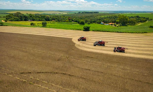 Datagro projeta safra de 185,6 milhões de toneladas de soja e 147,5 milhões de milho em 2026/27