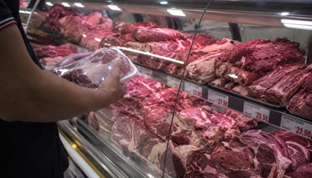 Marrocos zera tarifa para ovinos e carnes até dezembro
