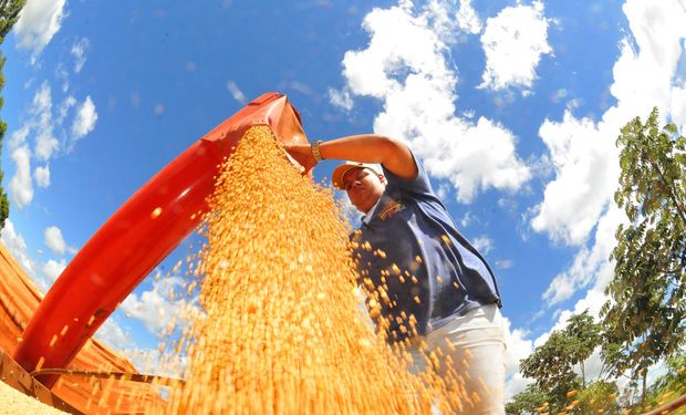 Colheitadeira opera em lavoura de grãos durante a safra agrícola brasileira.