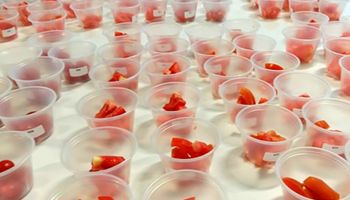 Concurso elegerá os melhores tomates do Brasil