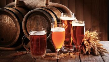 Conheça as Rotas da Cerveja de São Paulo