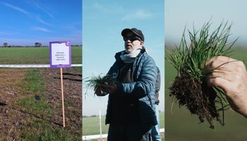 Inédito en más de 30 años: se lanzó en Argentina una nueva tecnología que promete cambiar el control de malezas y así se ve en vivo en el campo