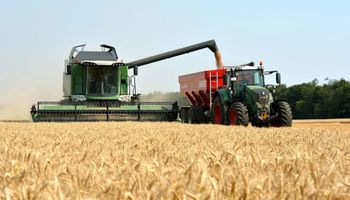 Empezó la cosecha de trigo y los primeros rindes superaron el promedio Empezó la cosecha de trigo y los primeros rindes superaron el promedio