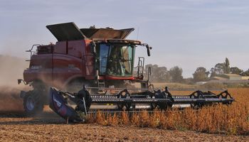 Cae todo en el mercado de granos: por qué hay un mínimo de varios meses para soja, trigo y maíz
