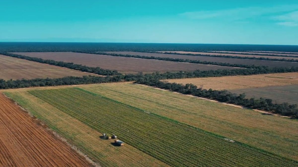 El gigante del agro que ya gestiona más de 365.000 hectáreas de forma digital en Argentina | Agrofy News